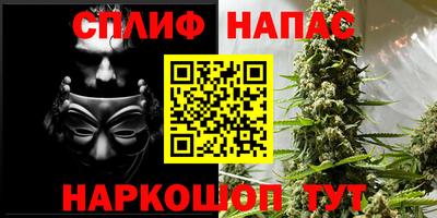 ПСИЛОЦИБИНОВЫЕ ГРИБЫ Краснодар