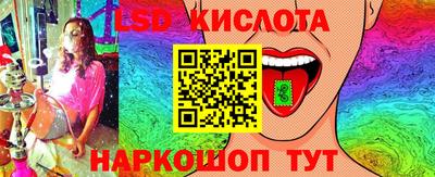 СК Краснознаменск