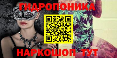 СК Краснознаменск