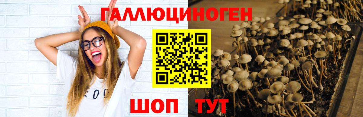 Псилоцибиновые грибы прущие грибы  Галлюциногенные грибы мицелий  Жигулёвск  Вход с VPN 