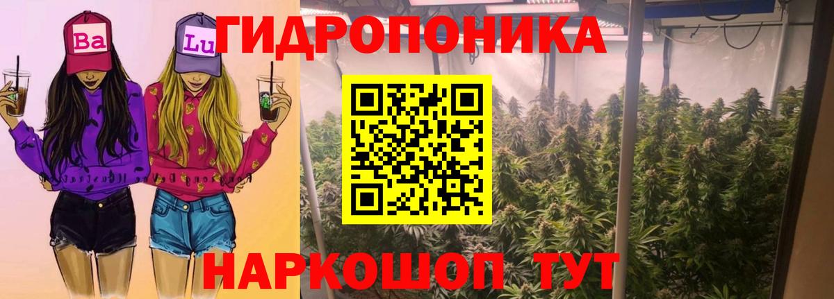 Бошки марихуана планчик Жигулёвск